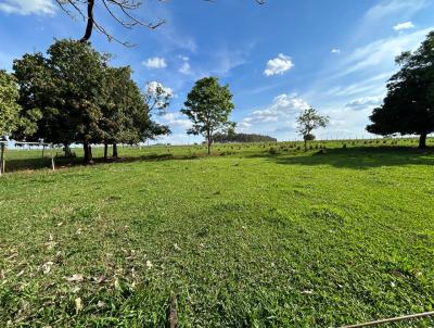 S�tio para Venda, em Uchoa, bairro �rea Rural de Uchoa, 3 dormit�rios, 2 banheiros, 4 vagas